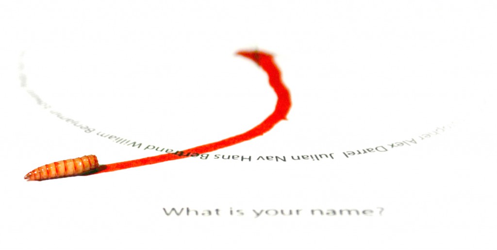Whats-your-name-maggot