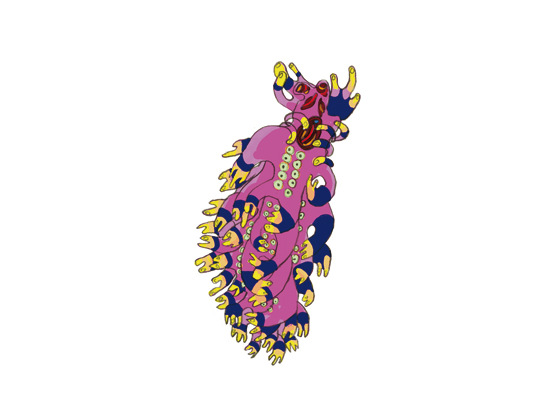 caterpillars-7.jpg