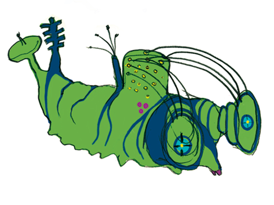 caterpillars-12.jpg