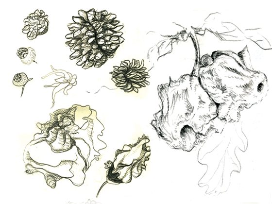 sketchbook-4.jpg